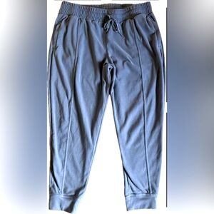 Mondetta joggers with pockets. Super soft! Excellent condition. Women’s size XL